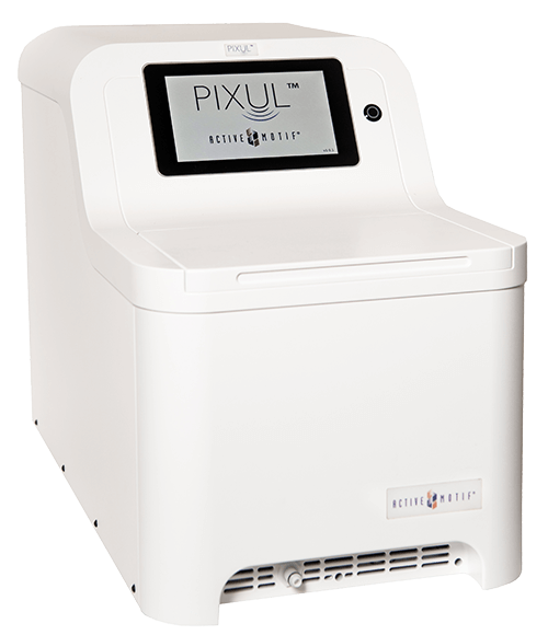 PIXUL PIXUL