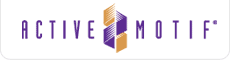 Active Motif Active Motif